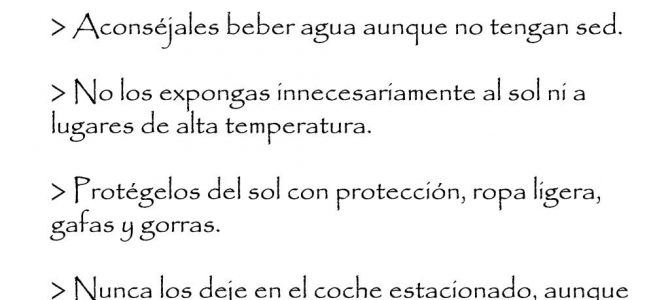 Consejos para proteger del calor a personas con riesgos Consejos para proteger del calor a personas con riesgos